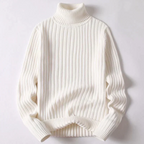 Maglione di dolcevita moderno Travis